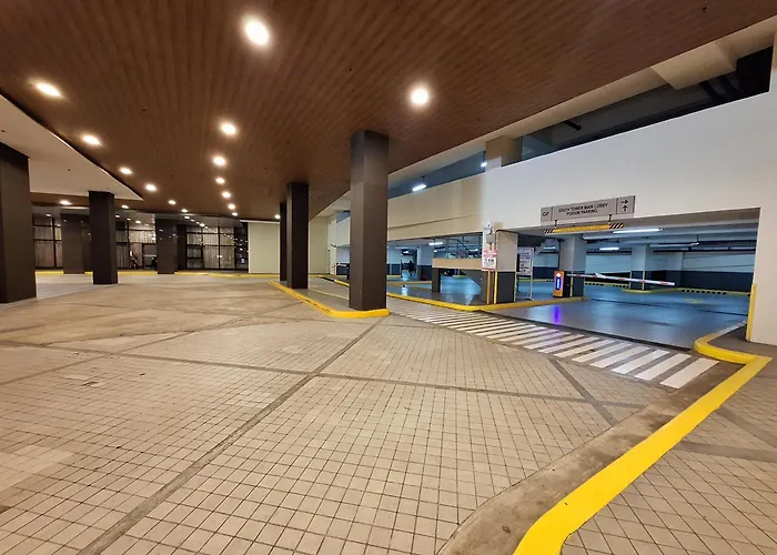 Expansive 1br -40sqm -pet -parking,moa,picc,wtc, Airport
